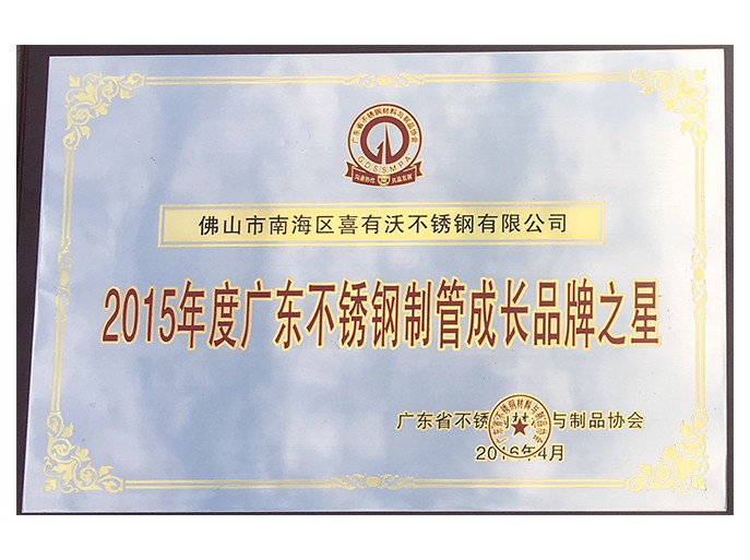 mg不朽情缘官网不锈钢管厂家获得的荣誉