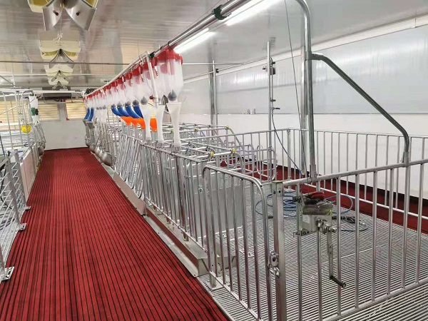 不锈钢管工程案例：养殖场饲料输送管道